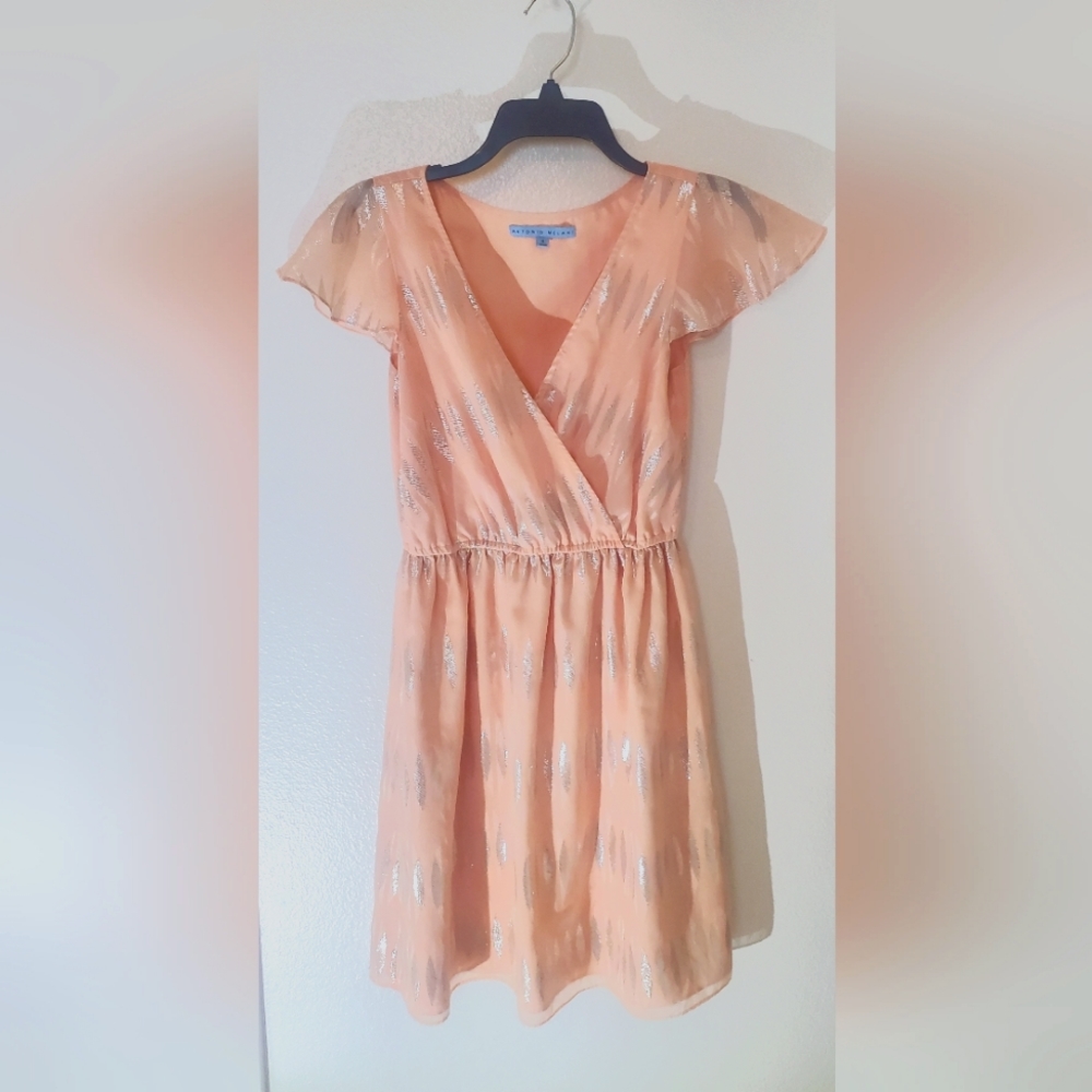 Antonio Melani | Persis V neck Chiffon Dress